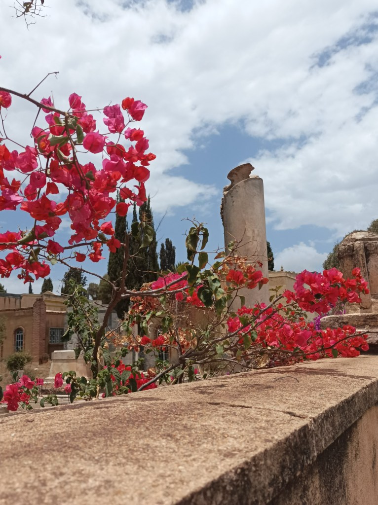 Staro talijansko groblje.